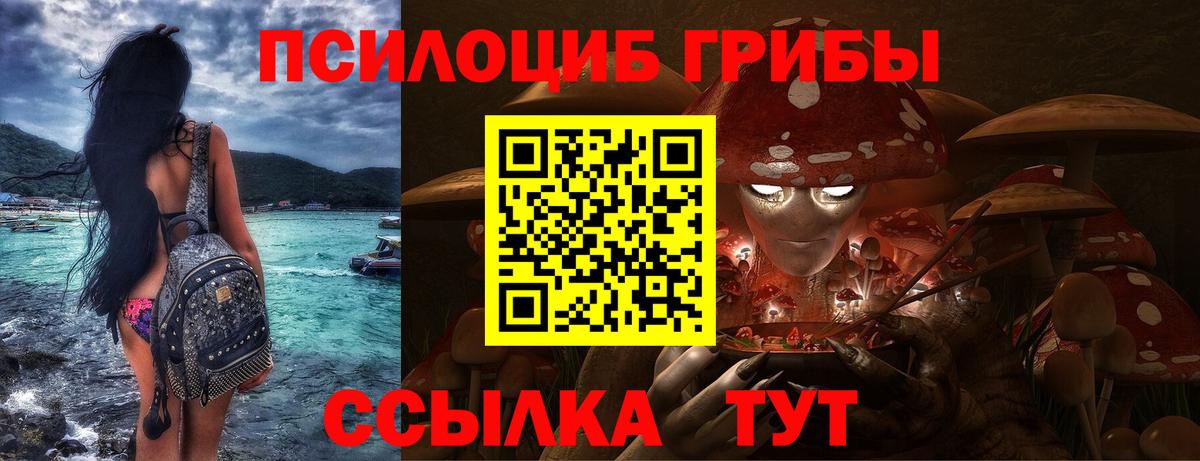 Псилоцибиновые грибы GOLDEN TEACHER Арсеньев