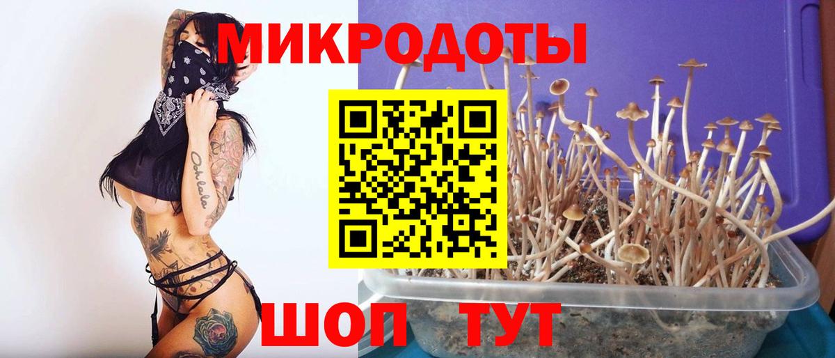Арсеньев  Галлюциногенные грибы Psilocybine cubensis  Вход с VPN  Галлюциногенные грибы Psilocybe 